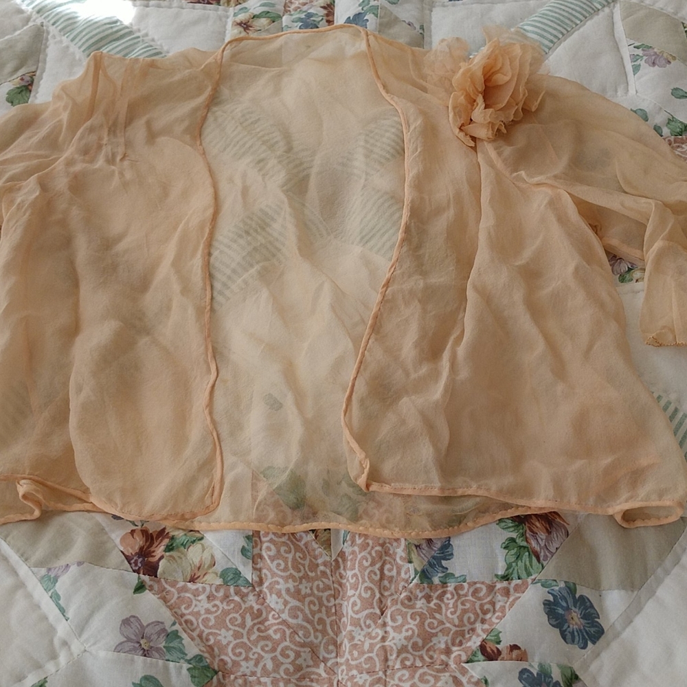3 PIECE 1920s-30s SILK INCREDIBLE CHIFFON ENSEMBLE - Picture 6 of 16